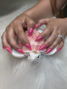 Manicures Pickerington